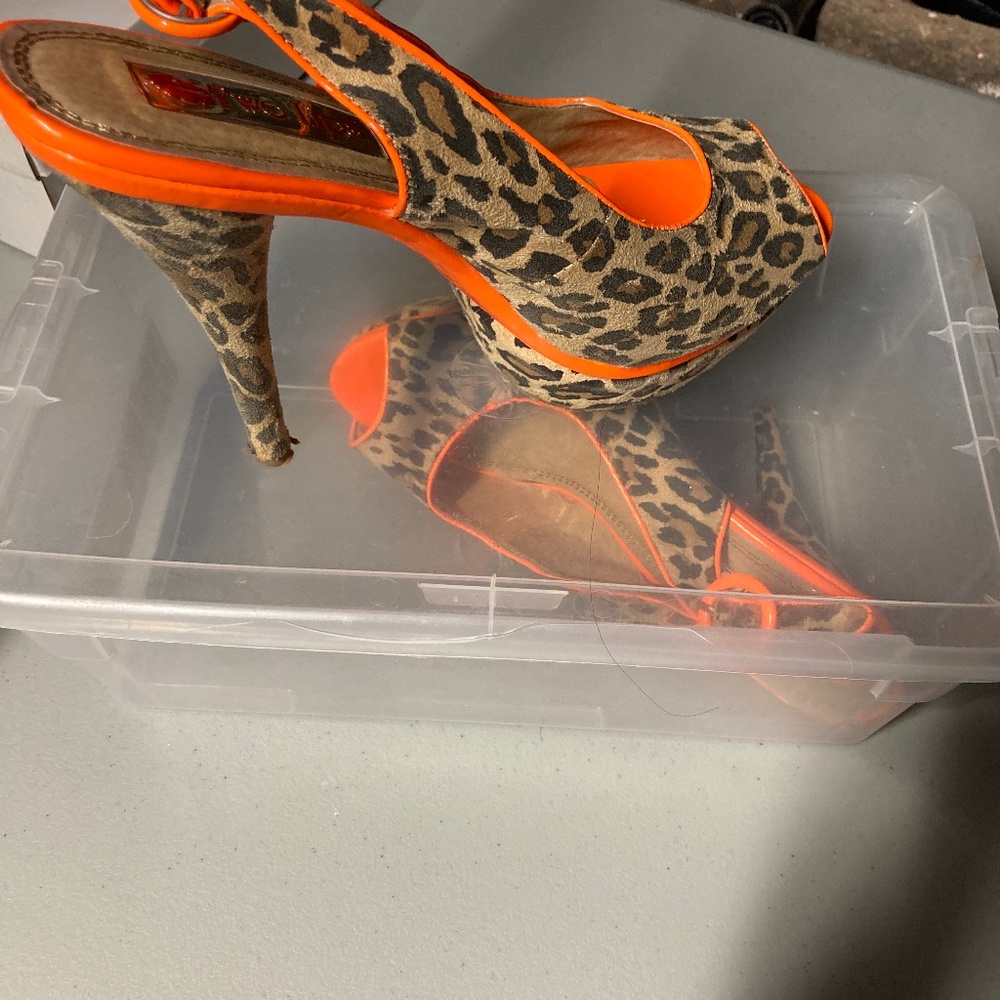 Leopard Shoe